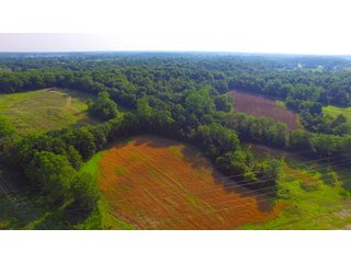 Noble County, Indiana farmland - LAND AUCTION - 54+/- ACRES OFFERED IN 2 TRACTS IN NOBLE COUNTY, INDIANA